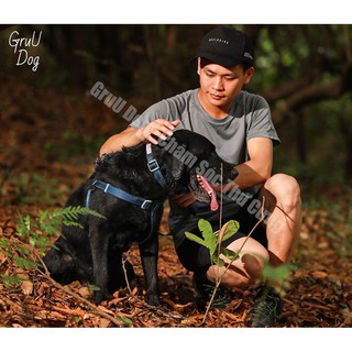 Dây dắt cho chó GruU Dog cao cấp