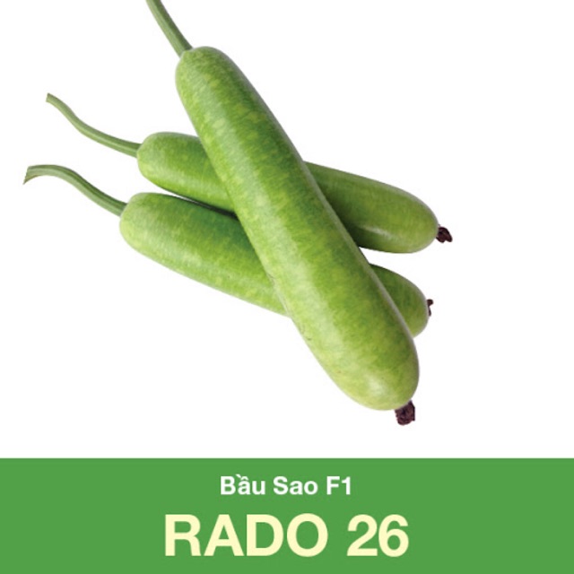 Hạt Giống Bầu Sao Lai 26 (2gr)