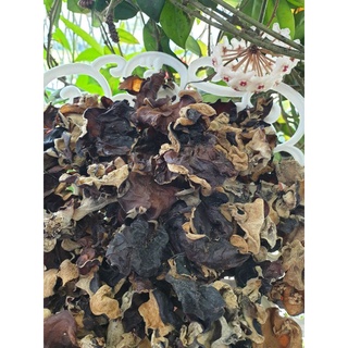 Mộc nhĩ rừng tây bắc 500g