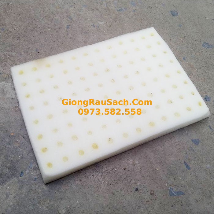 Mút trồng thủy canh 96 Viên Thích hợp Rọ 55 hoặc 65mm