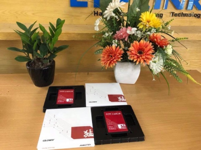 Ổ ssd Gloway 120gb 36T sata3 dành cho pc và laptop | BigBuy360 - bigbuy360.vn