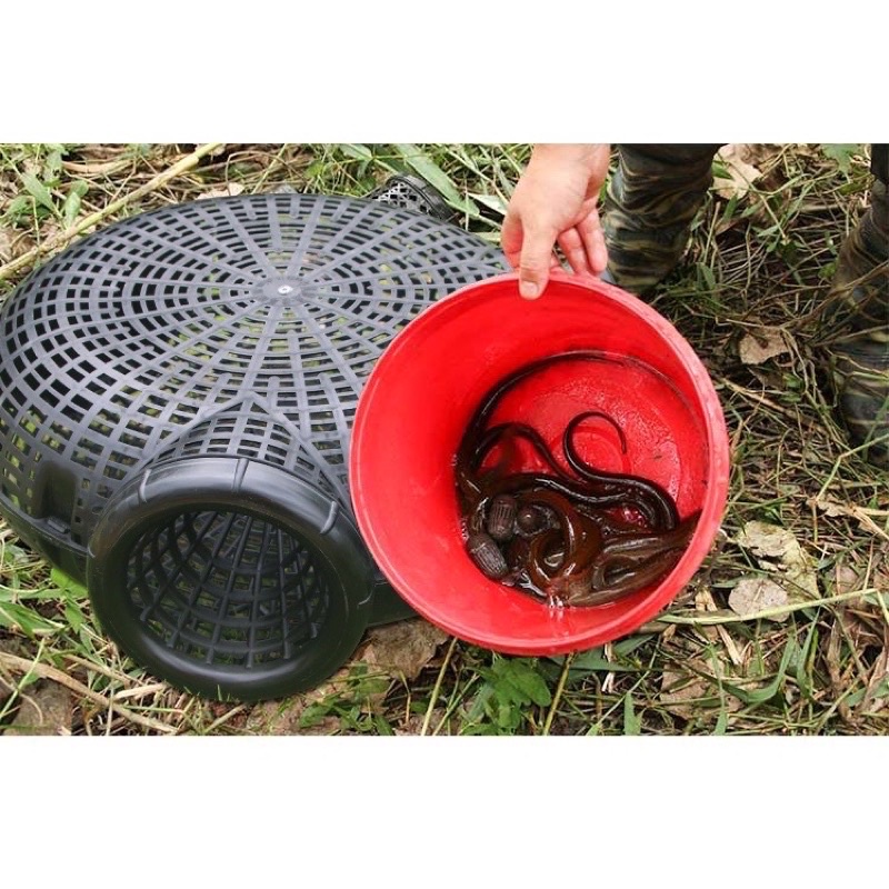 RỌ BẪY LƯƠN, CÁ 3 CỬA BẮT CÁ SIÊU HIỆU QUẢ.