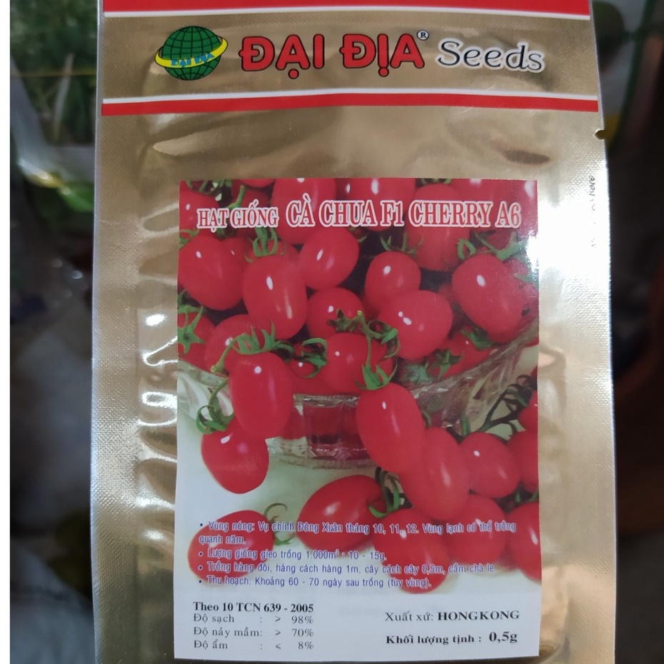 HẠT GIỐNG CÀ CHUA CHERRY, CÀ CHUA PI