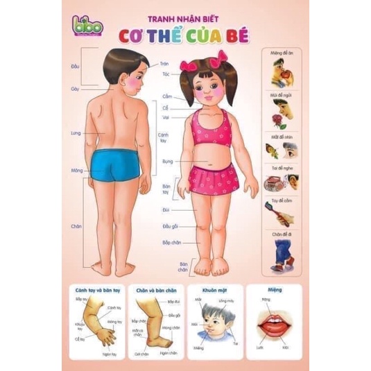 Bộ lịch treo tường song ngữ 12 chủ đề cho bé