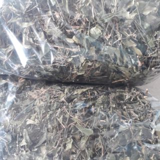 Cây bán chi liên (1 kg)