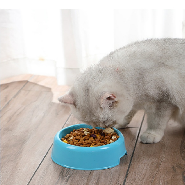 [HCM] Bát nhựa đựng thức ăn dành cho thú cưng (nhiều màu sắc)