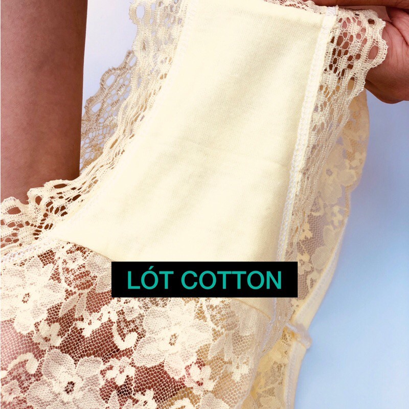 Quần Lót Ren Nữ Sexy Không Viền Siêu Mềm Thoáng Mát Cao Cấp Quần Chip Ren Nữ Mỏng