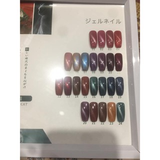 sét sơn as