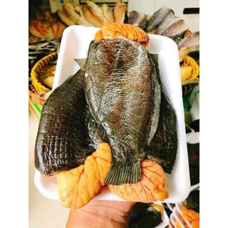 Cá Sặc Trứng 500gam