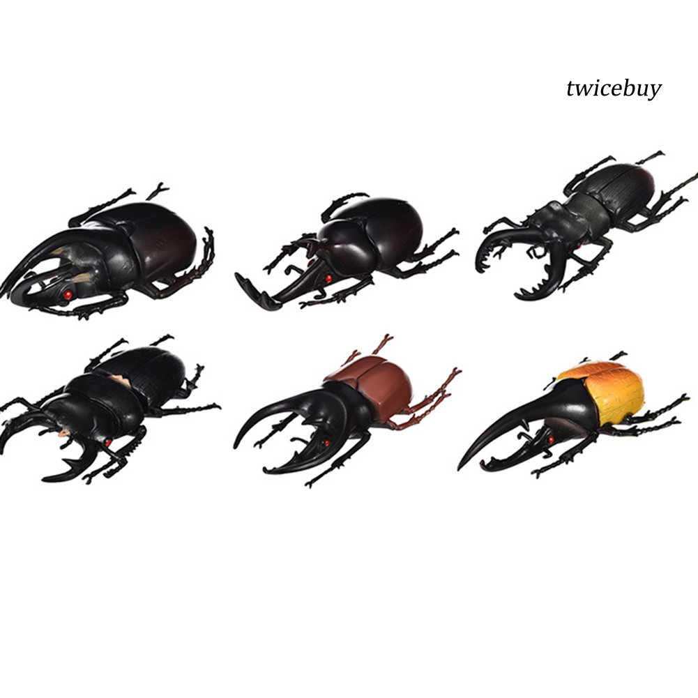 Set 6 mô hình côn trùng con bọ cánh cứng