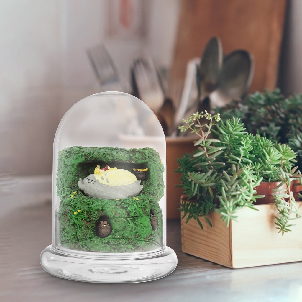 Hộp Kính Trong Suốt Trưng Bày Cloche Bell Dome Trưng Bày Cây Mọng Nước Đèn Thần Tiên