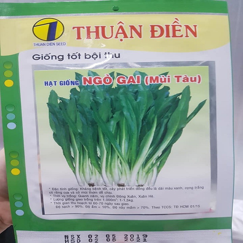 Ngò gai Thuận Điền  –