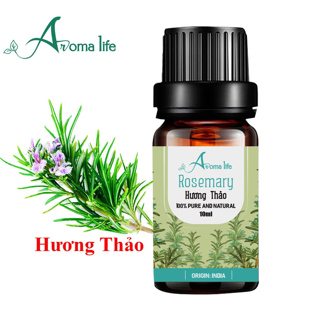 Tinh dầu thiên nhiên nguyên chất nhập khẩu Ấn Độ 42 mùi - 10ml có chứng nhận nhập khẩu