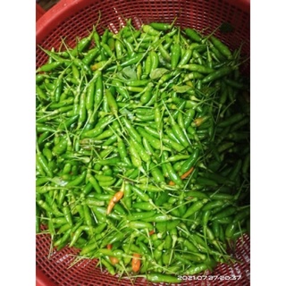 Ớt xiêm xanh hái mới mỗi ngày 100g