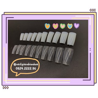 Tip đầu móng nối 500 cái- 10 size