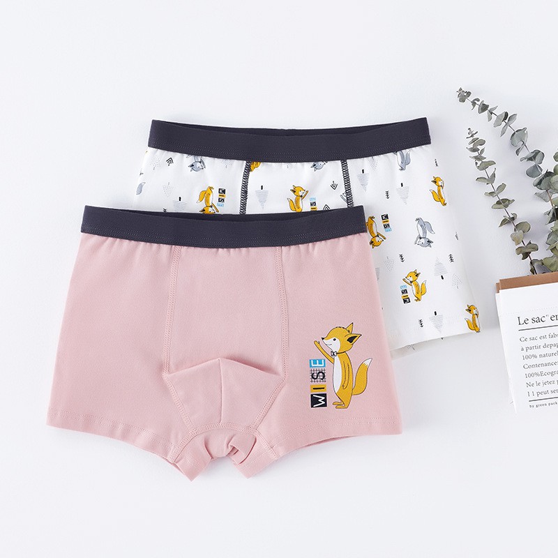 Bộ 2 Quần Lót Boxer Cotton In Họa Tiết Hoạt Hình Cho Bé Trai