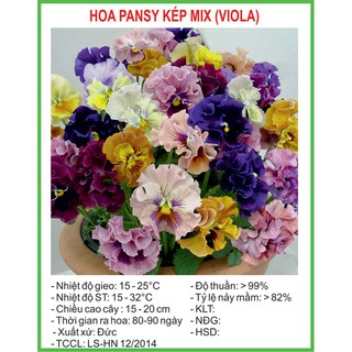 Hạt Giống Hoa Pansy Kép Mix 50 Hạt/ Gói