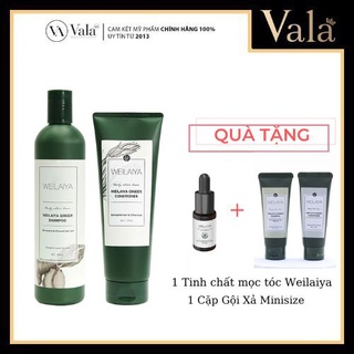 Bộ Dầu Gội Đầu Xả Weilaiya Tinh Chất Gừng Hỗ Trợ Móc Tóc Và Mọc Tóc Cao Cấp- Hàng Chính Hãng