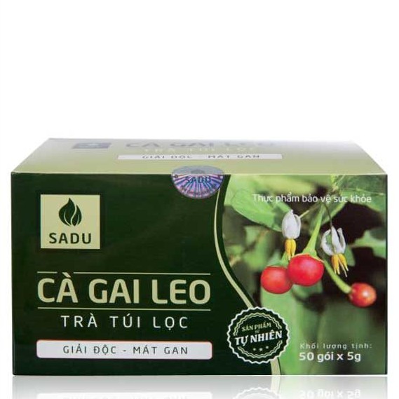 Trà túi lọc Cà Gai Leo Sadu 99k - Hỗ trợ bảo vệ lá gan khỏe mạnh cho cả gia đình bạn