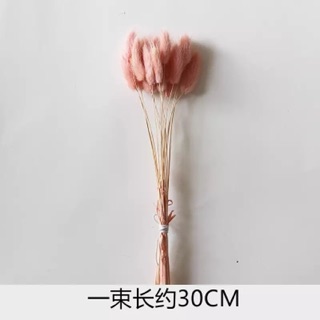 Lọ hoa và hoa khô decor