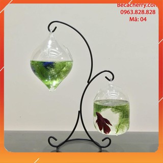 Bể cá mini treo trên giá hình chữ x 04