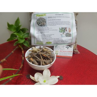 Cây Tầm Gửi Thanh BÌnh - Loại 1