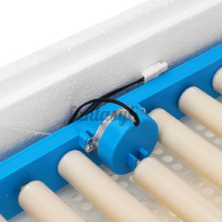 70 Máy Ấp Trứng Tự Động Có Đèn Led