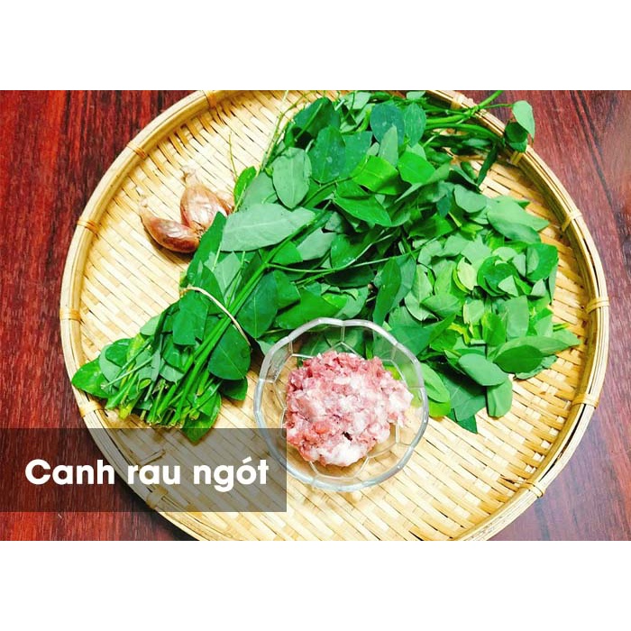 Hạt giống Rau Ngót Việt, hạt giống rau ngót Gói 1g