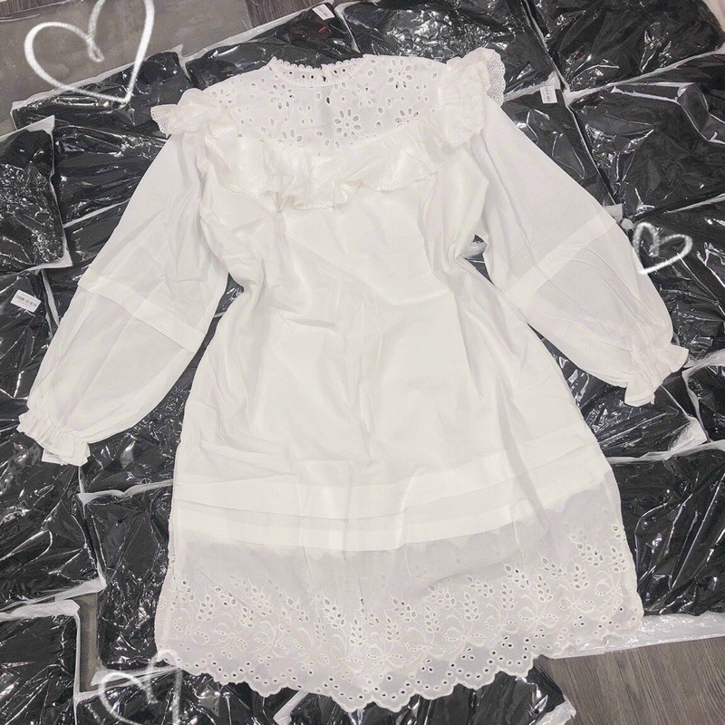 ẢNH THẬT TRẢI SÀN - ĐẦM TRẮNG BÈO CỔ XÔ HOA