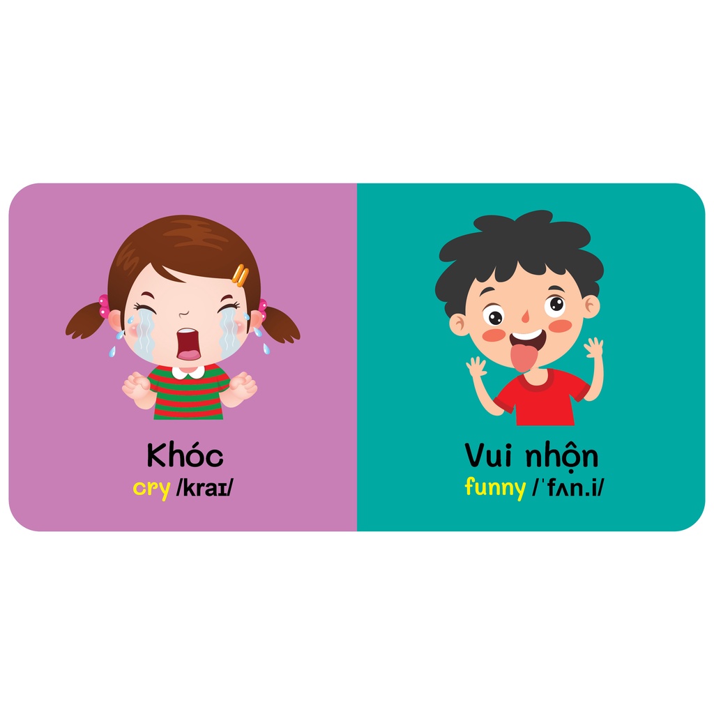 Sách - Baby'S First Picture Dictionary - Từ Điển Bằng Hình Đầu Tiên Của Bé - Cảm xúc - Emotions