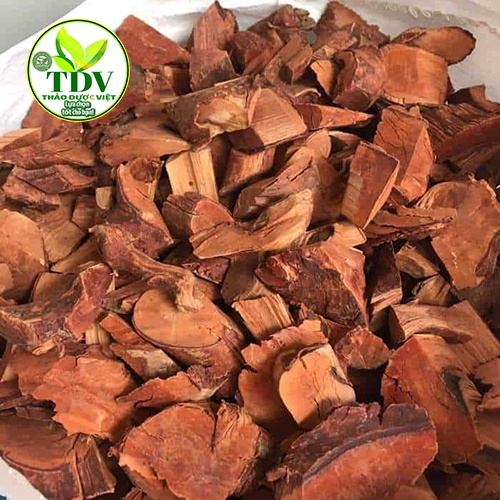 500g Cây Mú Từn  bổ thận tráng dương - Hàng công ty Thảo Dược Việt