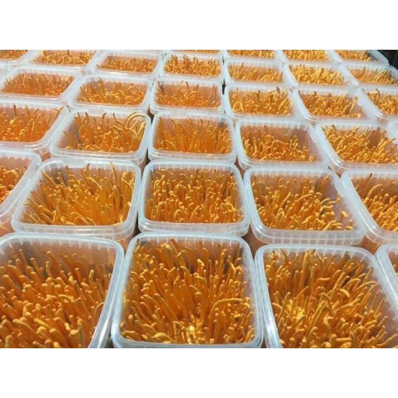 Hộp nhựa vuông 500ml 700ml 1250ml đựng kem, ghẹ ngâm tương, đông trùng nắp gài chốt