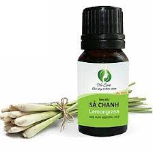 Tinh Dầu Thiên Nhiên Nguyên Chất Có Kiểm Định Nhiều Mùi 10ml / Tinh dầu Sả Chanh, Bạc Hà, Quế, Cam, Oải Hương,...