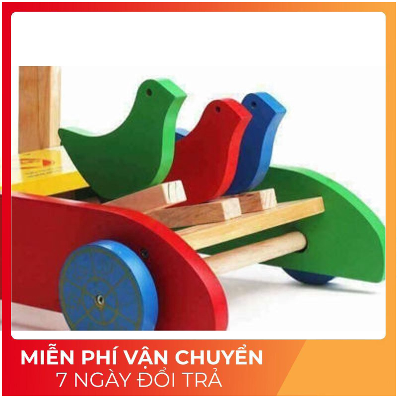 Xe tập đi con chim hàng Việt Nam