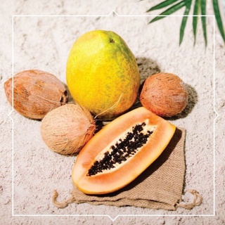 [Nubian Heritage] Xà phòng Coconut & Papaya