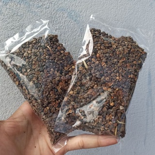 Hạt ba khía trộn thêm thức ăn hamster,sóc cảnh.