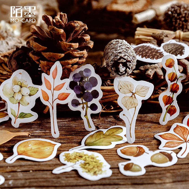 Set 46 nhãn dán in hình thực vật mùa thu trang trí sổ tay DIY