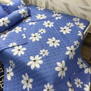 Bộ drap cotton hàn 1m6 x 2m ( 10cm )