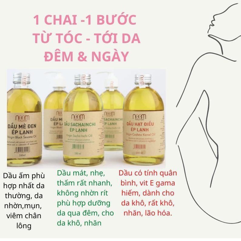 Dầu Sachi [ Dầu Sachainchi ] Ép Lạnh Noom Cao Cấp