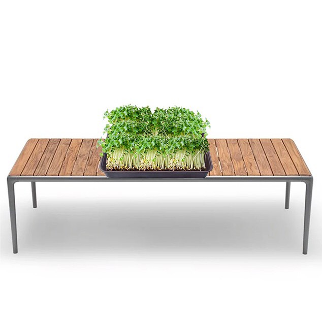 Khay Trồng Rau Sạch Được Thiết Kế Thoát Nước Thông Minh