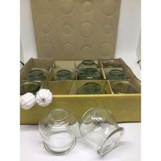 Cây Châm Lửa Giác Hơi hàng vnxk