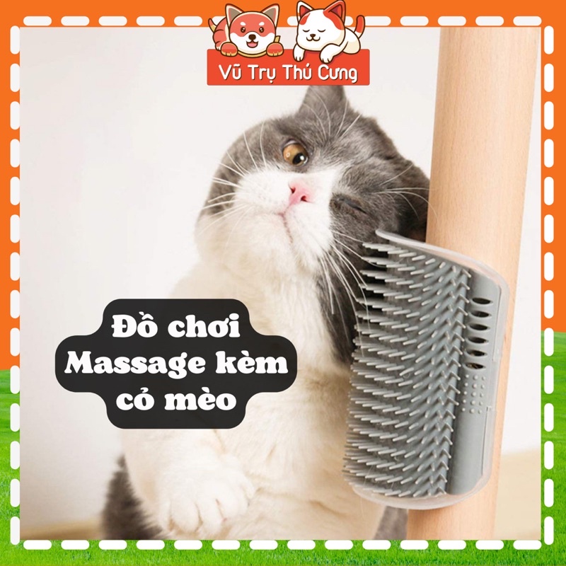 Đồ chơi Bàn chải Massage gắn tường cho Mèo, kèm cỏ mèo thư giãn