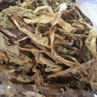 Lá trinh nữ hoàng cung (sale sock 1kg 80k)