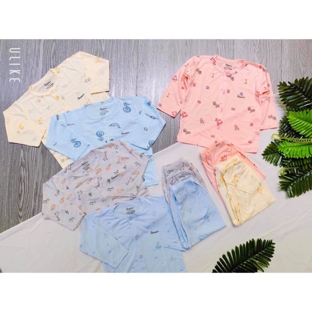Bộ avalew vài cúc giữa