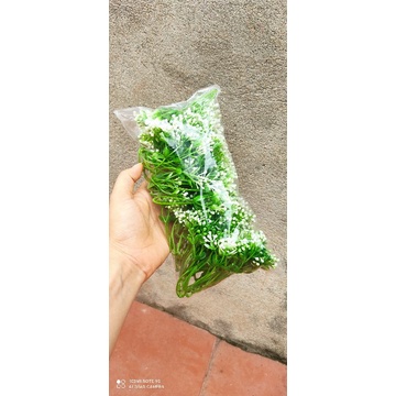 1 túi cỏ điểm