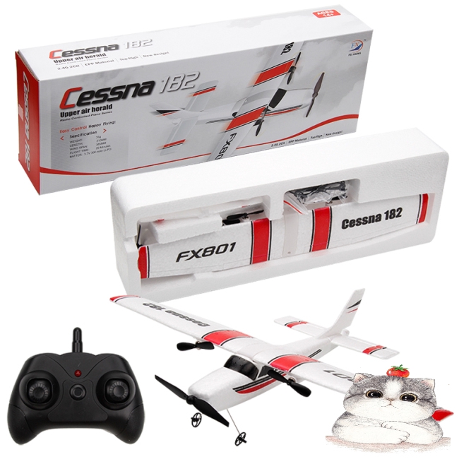 Máy Bay Đồ Chơi Điều Khiển Từ Xa Fx801 Rc Epp 2.4g 2ch
