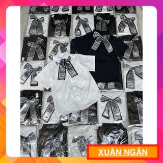 Áo sơ mi CN ray ngắn nơ hót 😻ảnh thật