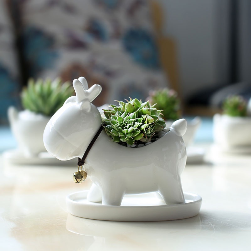 Chậu Trồng Cây Sen Đá, Xương Rồng Cây Mini Tuần Lộc Có Khay Lỗ Thoát Nước