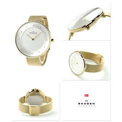 [GIÁ HỦY DIỆT - Chính Hãng - Free ship - Không ưng hoàn tiền] Đồng hồ nữ Skagen Skw2141 dây thép lưới 2 kim, BESTPRICE