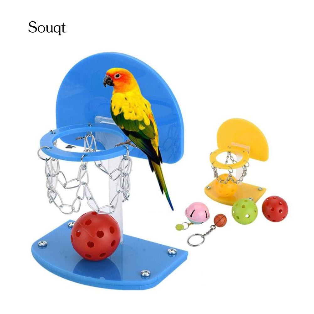 Giá Đứng Bóng Rổ Mini Cho Vẹt Cưng